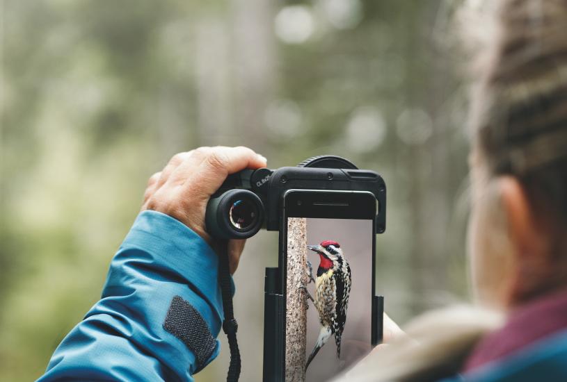 VPA – der variable Phone Adapter von SWAROVSKI OPTIK